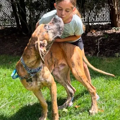 Haylee, Junior Rescue Leader at Hidden Gems Rescue